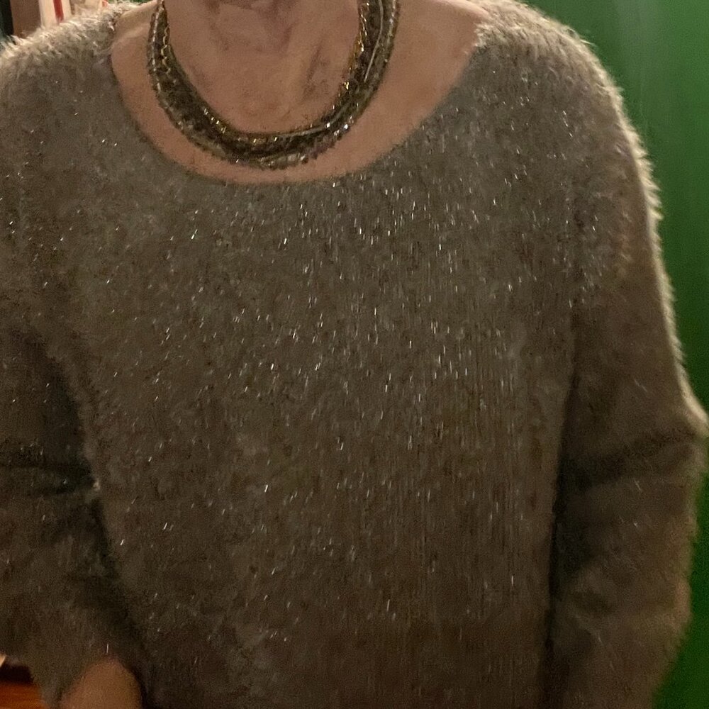 Soft Surroundings soft glittery "muddy brown" sweater, generous Small size